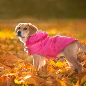 Vsepropejska Winter bunda pro psa s kapucí Barva: Růžová