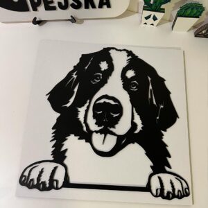 Vsepropejska Bernský salašnický 4 dřevěná dekorace na zeď Rozměr (cm): 38 x 38