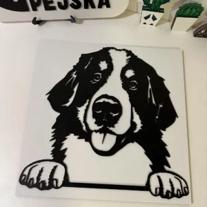 Vsepropejska Bernský salašnický 4 dřevěná dekorace na zeď Rozměr (cm): 38 x 38