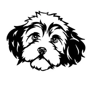 Vsepropejska Bišonek dřevěná dekorace na zeď Rozměr (cm): 38 x 28