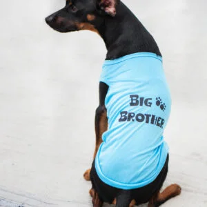 Vsepropejska Buda letní tričko pro psa Barva: Modrá