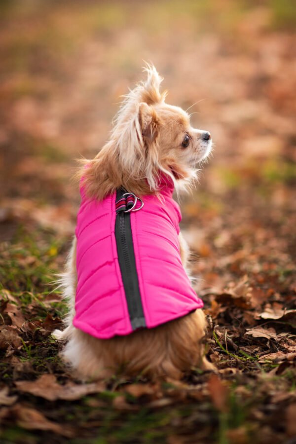 Vsepropejska Color-rainy obleček pro psa na zip Barva: Růžová