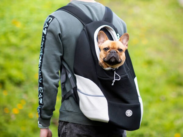 Vsepropejska Trend batoh pro psa | do 10 Kg Barva: Černá