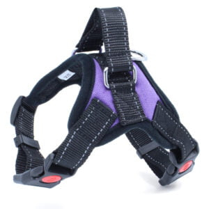 Sporty postroj pro psa | 32 – 98 cm Barva: Fialová