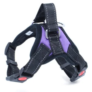 Sporty postroj pro psa | 32 – 98 cm Barva: Fialová