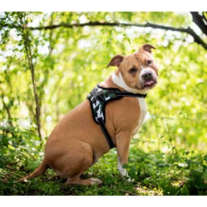 Sporty postroj pro psa | 32 – 98 cm Barva: Maskáčová