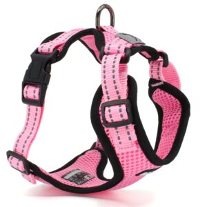 Vsepropejska Serg postroj s prodyšným povrchem pro psa | 28 – 78 cm Barva: Růžová