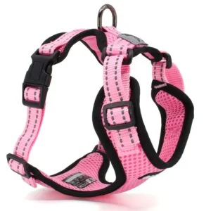 Vsepropejska Serg postroj s prodyšným povrchem pro psa | 28 – 78 cm Barva: Růžová