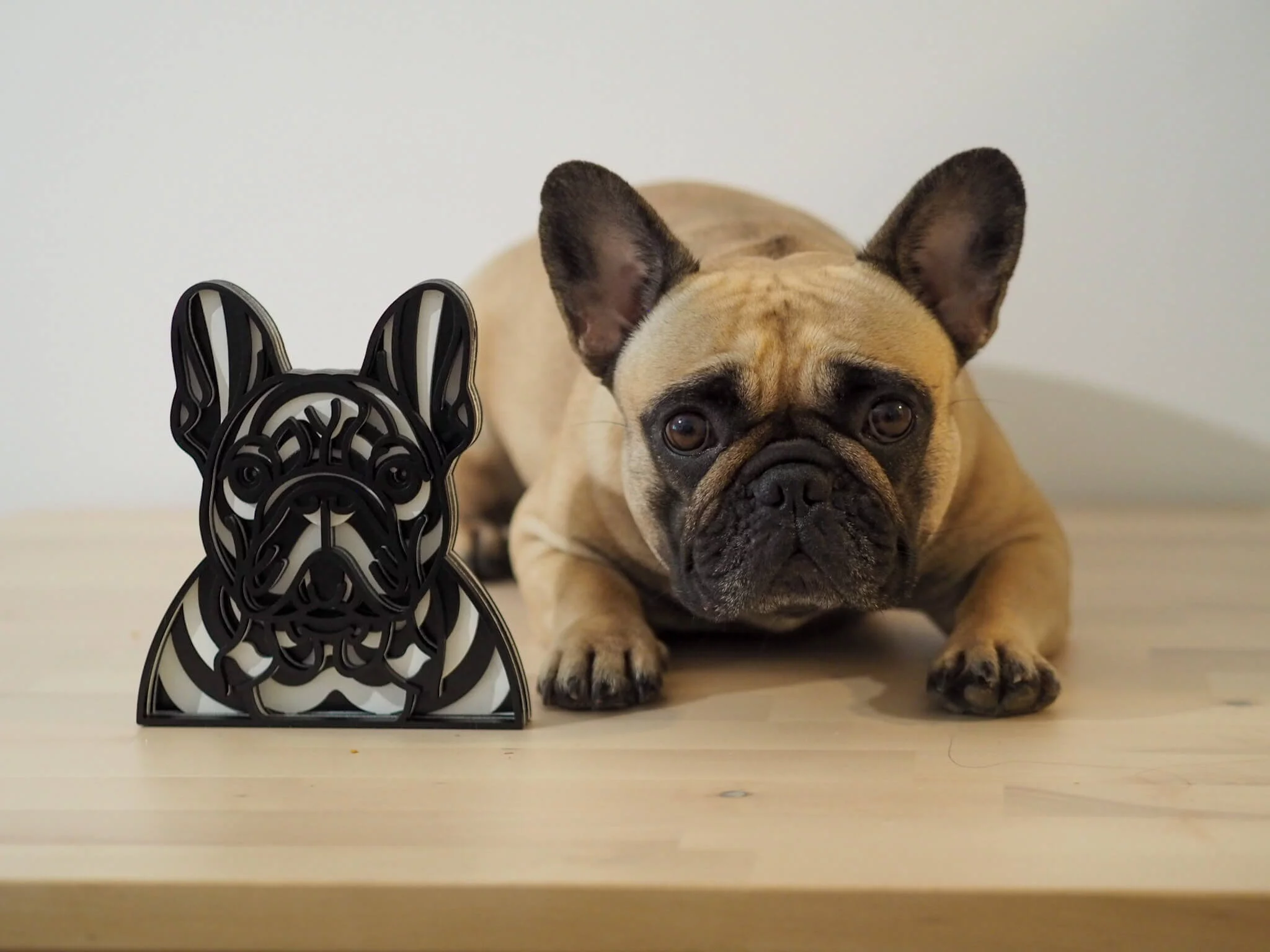 Rozměr (cm): 17 x 14