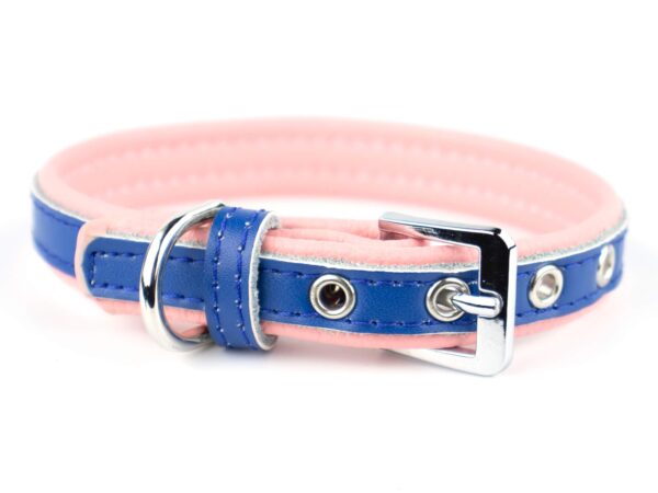 Vsepropejska Rose obojek pro psa | 22 - 34 cm Barva: Modro-růžová