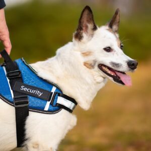 Vsepropejska Wipy bezpečný postroj pro psa | 54 – 114 cm Barva: Modrá