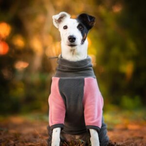 Vsepropejska Daniel fleecová kombinéza pro psa Barva: Růžová