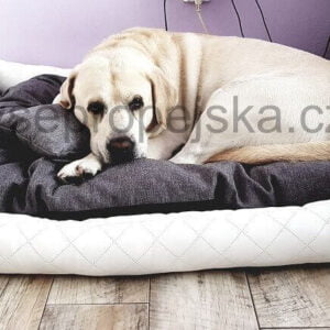 Vsepropejska Delux kožený pelech pro psa s polštářkem Barva: Bílá
