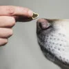 50g