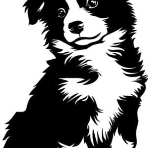 Vsepropejska Australský ovčák 13 dřevěná dekorace na zeď Rozměr (cm): 38 x 24