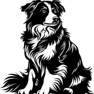 Vsepropejska Australský ovčák 14 dřevěná dekorace na zeď Rozměr (cm): 38 x 36