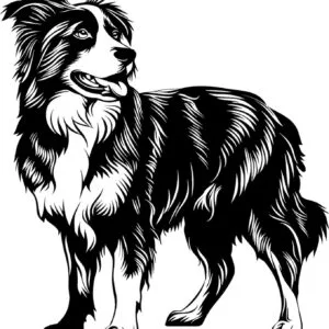 Vsepropejska Australský ovčák 15 dřevěná dekorace na zeď Rozměr (cm): 38 x 34