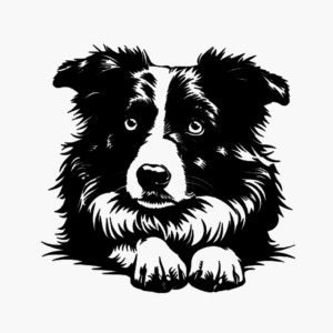 Vsepropejska Australský ovčák 17 dřevěná dekorace na zeď Rozměr (cm): 38 x 37