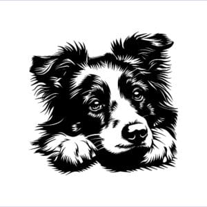 Vsepropejska Australský ovčák 19 dřevěná dekorace na zeď Rozměr (cm): 38 x 37