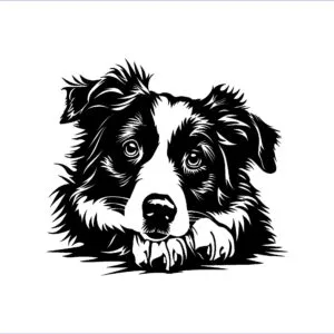 Vsepropejska Australský ovčák 20 dřevěná dekorace na zeď Rozměr (cm): 38 x 34