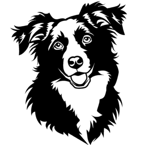 Vsepropejska Australský ovčák 5 dřevěná dekorace na zeď Rozměr (cm): 38 x 30