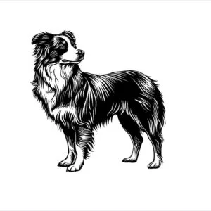 Vsepropejska Australský ovčák 6 dřevěná dekorace na zeď Rozměr (cm): 38 x 36