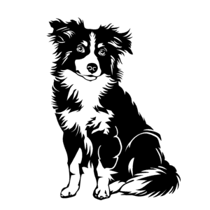 Vsepropejska Australský ovčák 7 dřevěná dekorace na zeď Rozměr (cm): 38 x 28