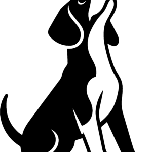 Vsepropejska Bígl 7 dřevěná dekorace na zeď Typ: Typ 4