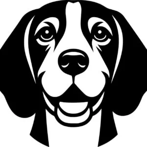 Vsepropejska Bígl 7 dřevěná dekorace na zeď Typ: Typ 8