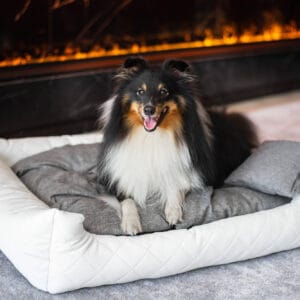 Rozměr (cm): 130 x 110