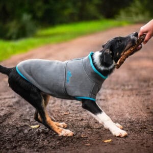 Vsepropejska Jambo sportovní mikina pro psa Barva: Šedá