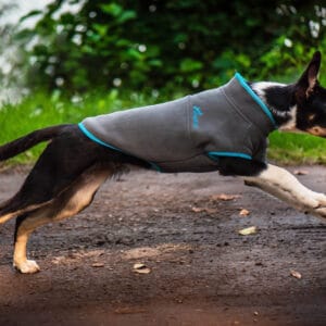 Vsepropejska Jambo sportovní mikina pro psa Barva: Šedá