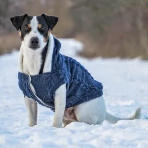 Vsepropejska Argo zateplený svetr pro psa Barva: Modrá