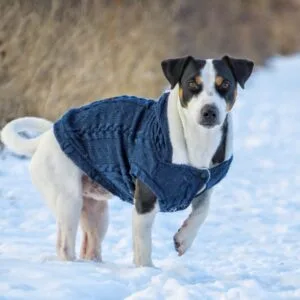 Vsepropejska Argo zateplený svetr pro psa Barva: Modrá