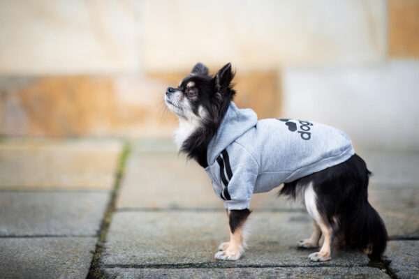 Vsepropejska DogBaby bavlněná mikina pro psa Barva: Šedá