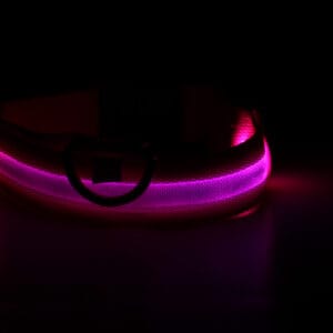 Vsepropejska Small svítící obojek pro psy | 28 - 43 cm Barva: Růžová