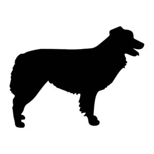 Vsepropejska Mag magnet na lednici ve tvaru psa Plemeno: Australský ovčák