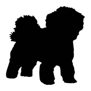 Vsepropejska Mag magnet na lednici ve tvaru psa Plemeno: Boloňský psík