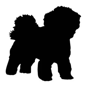 Vsepropejska Mag magnet na lednici ve tvaru psa Plemeno: Boloňský psík