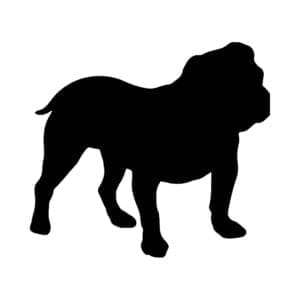 Vsepropejska Mag magnet na lednici ve tvaru psa Plemeno: Bulldog