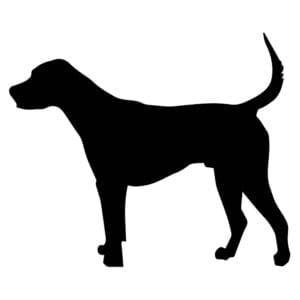 Vsepropejska Mag magnet na lednici ve tvaru psa Plemeno: Foxhound