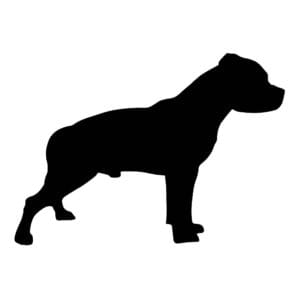 Vsepropejska Mag magnet na lednici ve tvaru psa Plemeno: Pitbull