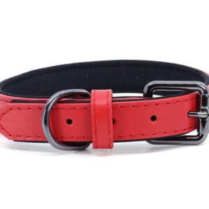 Obvod krku: 34 - 43 cm