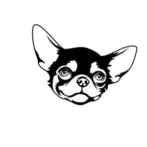 Vsepropejska Čivava dřevěná dekorace na zeď Rozměr (cm): 38 x 29