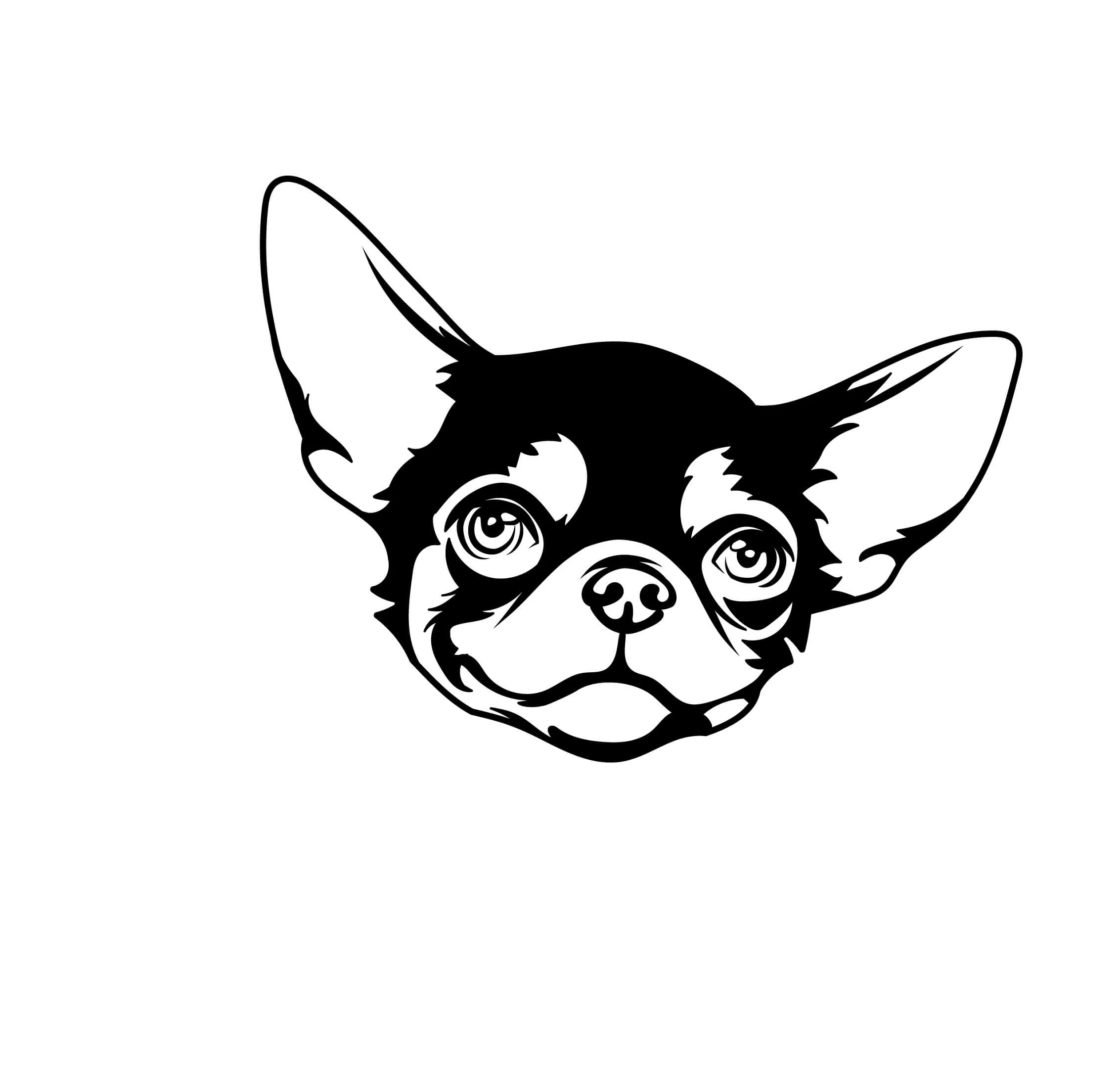 Vsepropejska Čivava dřevěná dekorace na zeď Rozměr (cm): 38 x 29