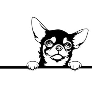 Vsepropejska Čivava dřevěná dekorace na zeď Rozměr (cm): 38 x 31