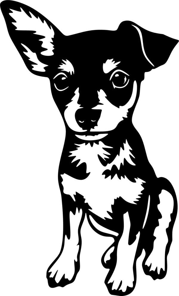 Typ: Čivava 8