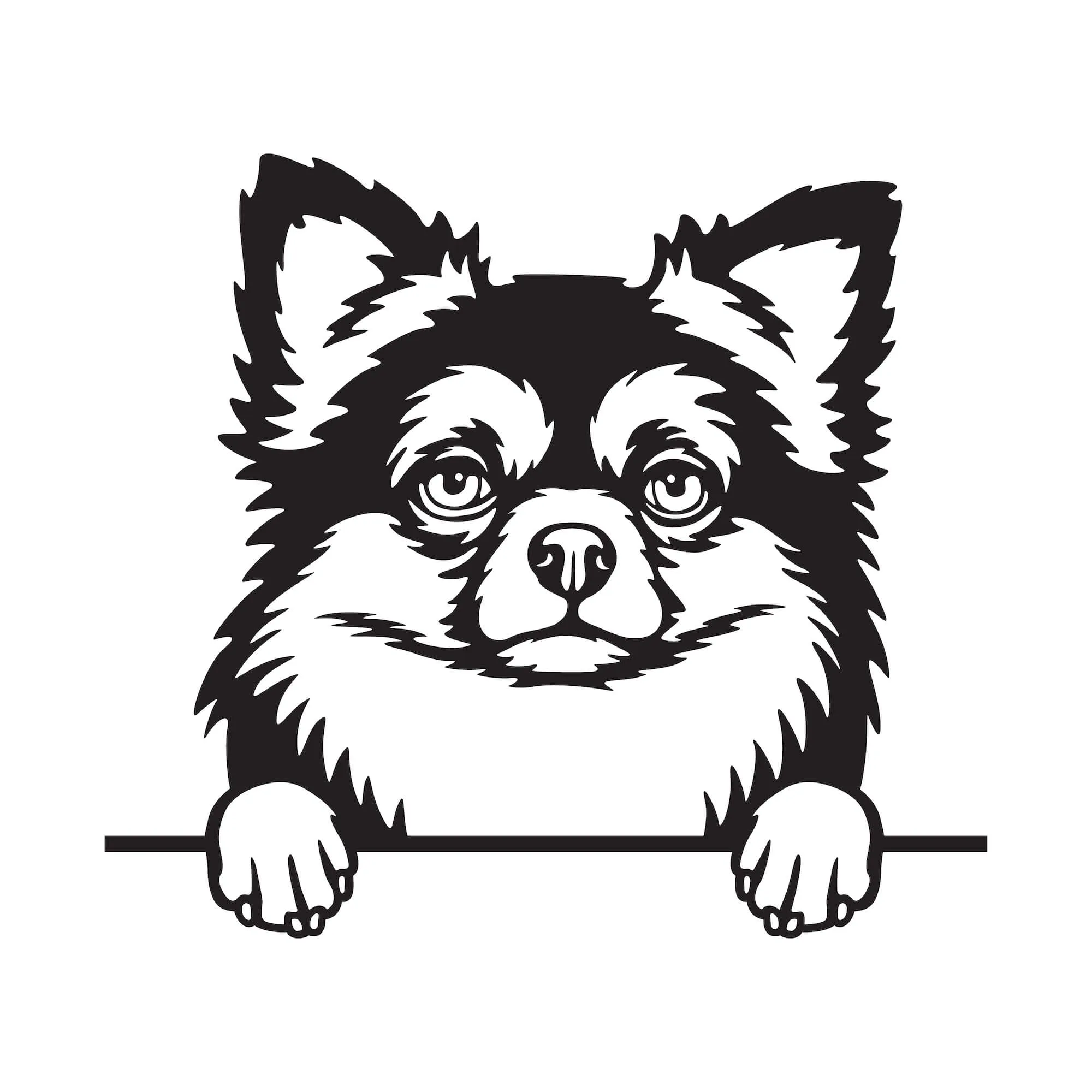 Vsepropejska Čivava dřevěná dekorace na zeď Rozměr (cm): 38 x 34