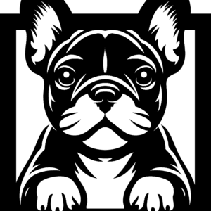Vsepropejska Francouzský buldoček 16 dřevěná dekorace na zeď Rozměr (cm): 38 x 33