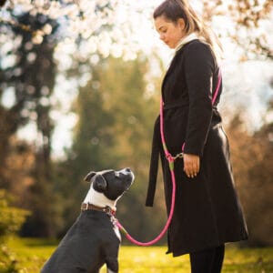 Vsepropejska Lasky přepínací vodítko pro psa | 270 cm Barva: Růžová